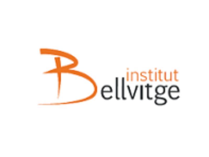 Institut Bellvitge